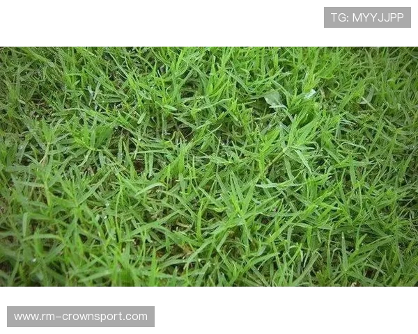 人工草场与天然草场在足球规则上有哪些细节差异？